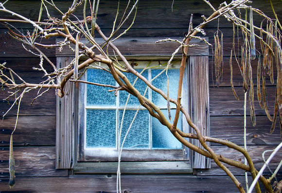 Frosty Barn Window