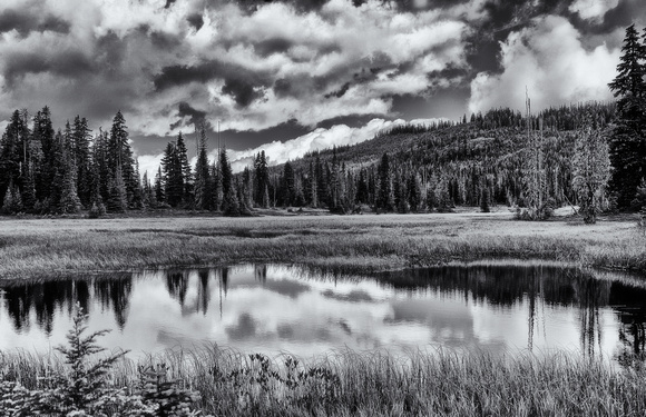 Reflections on A Pond (2)